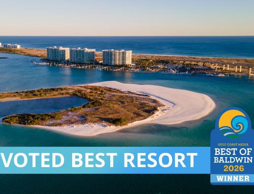 February 2026 Property Update